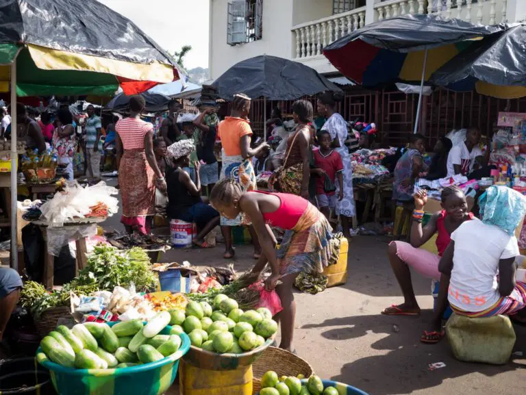 Unpacking Formalisation: The need for a new research agenda on taxation and the informal economy