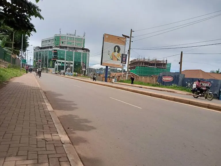 L’Ouganda devrait imposer les « gagnants de la Covid-19 » pour combler ses pertes de recettes