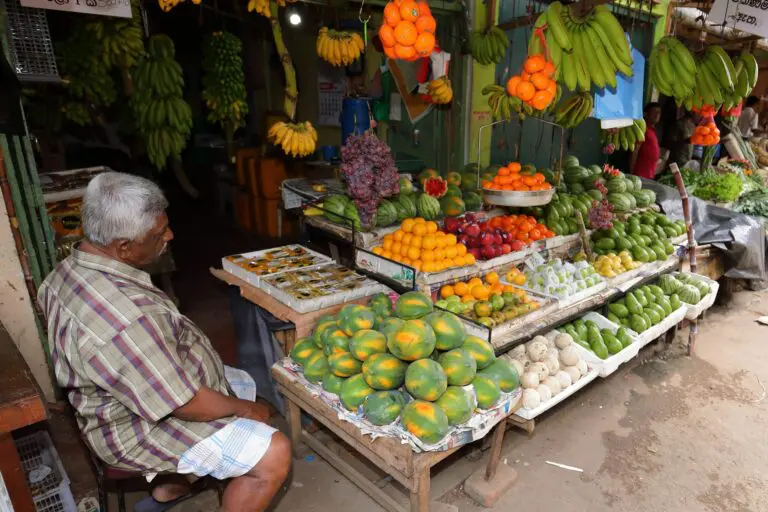 Making the IMF Work for Sri Lankans: Part 2