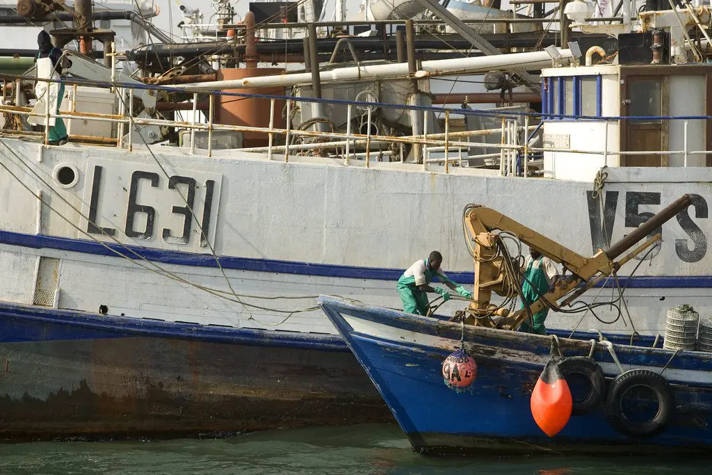 Webinar: Fiscal Policies for the Fisheries Sector in Africa