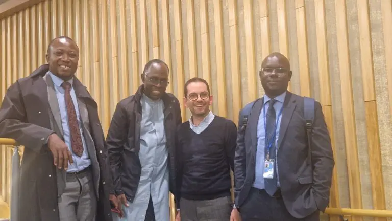 What to do with a global majority: making the most of a UN tax convention