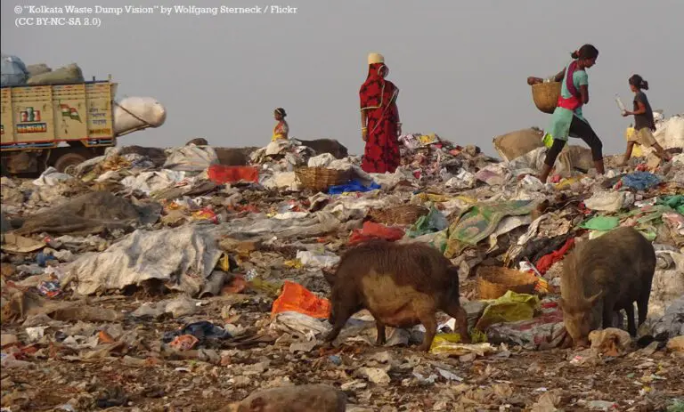 Taxing plastic production: a solution to India’s plastic waste crisis?