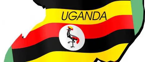 Boosting Revenue Collections from High Net worth Individuals in Uganda