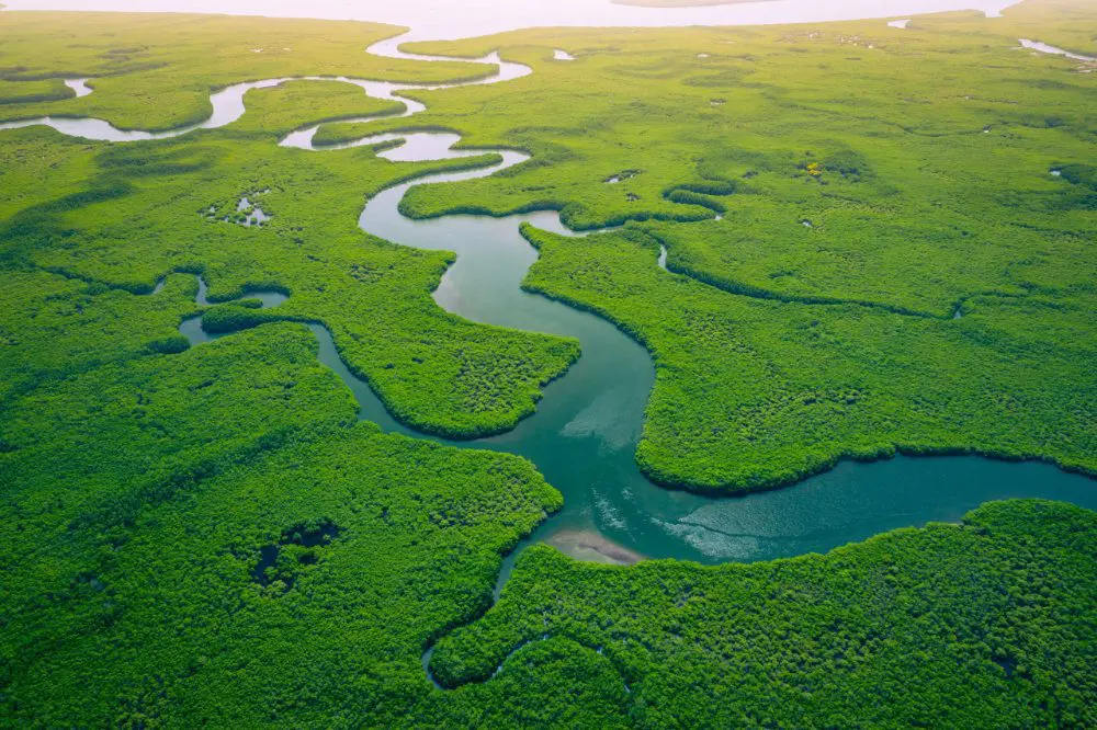 Fiscalité climatique et environnementale