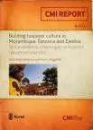 Building Taxpayer Culture in Mozambique, Tanzania and Zambia