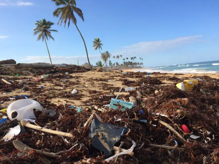 Appel à propositions de recherche sur les taxes environnementales