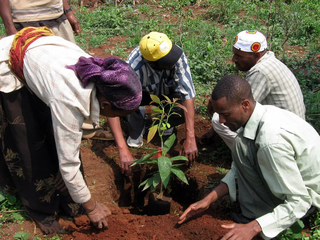 Informal Taxation in Ethiopia: Typologies, Prospects, and Challenges