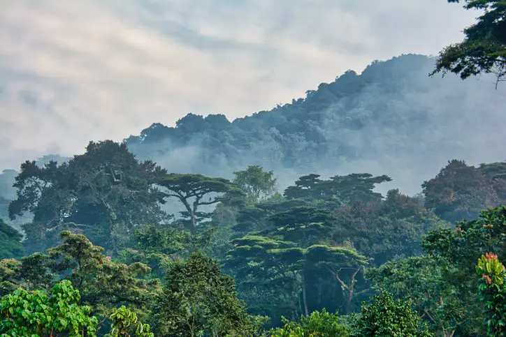Une taxation environnementale juste en Afrique : comment la fiscalité peut freiner les dommages environnementaux, bien au-delà des seules taxes carbone