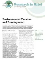 Environmental Taxation and Development