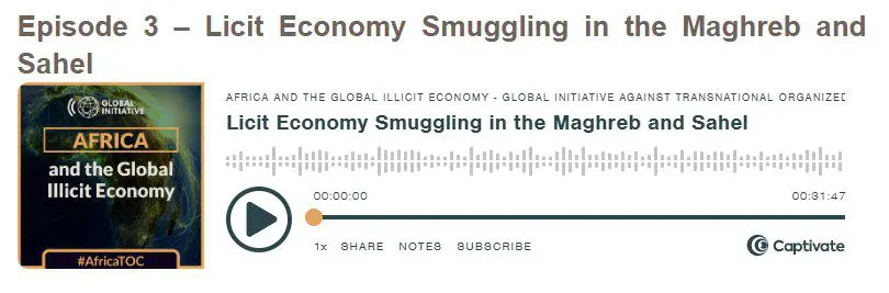 Max Gallien invité du podcast « Africa and the Global Illicit Economy »