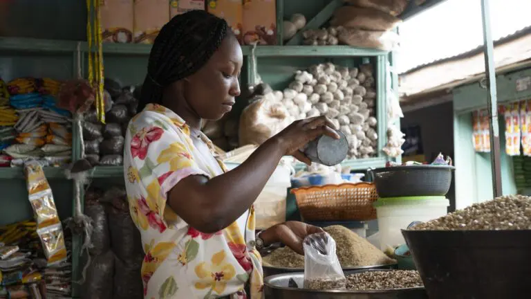 Design features of simplified tax regimes for small businesses in Sub-Saharan Africa